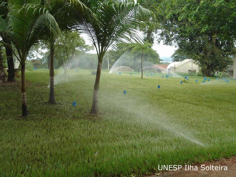 unesp_pos_2009 (86).JPG